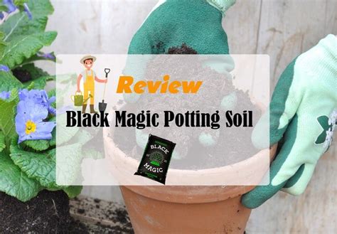 Experience the Magic: Transform Your Garden with Magical Plant Potting Soil